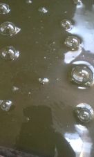 37822-1.jpg