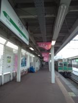 37834.jpg