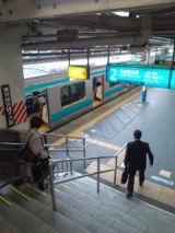 37846-1.jpg