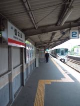 37876.jpg