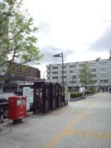 37882-2.jpg