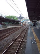 37884-1.jpg