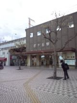 37899-3.jpg