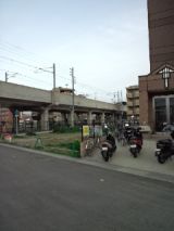37903.jpg