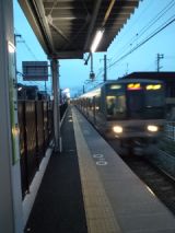 37905-8.jpg