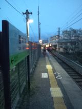 37906.jpg