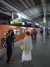 37946-1.jpg