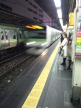 37955.jpg
