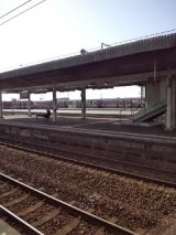 37976-1.jpg