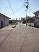 37983-4.jpg