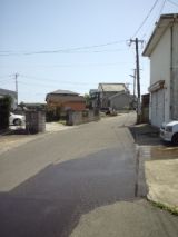 37988-3.jpg