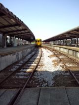 37996-5.jpg