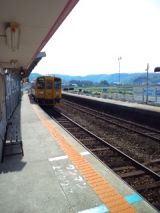 38005.jpg