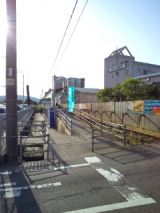 38009-2.jpg