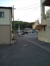 38018-3.jpg