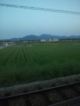 38019-1.jpg