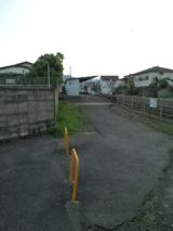 38031-5.jpg