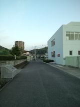 38031-7.jpg