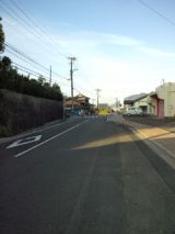 38036-3.jpg