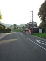 38036-5.jpg