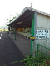 38037-1.jpg