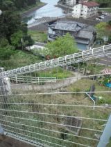 38049-4.jpg