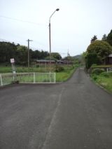38053-4.jpg