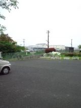 38067-5.jpg