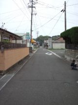 38068-6.jpg