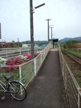 38071-2.jpg