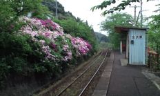 38084-1.jpg