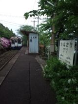 38084.jpg