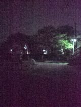 38090.jpg
