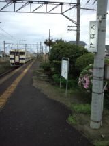 38101.jpg