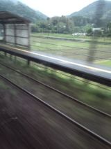 38103.jpg