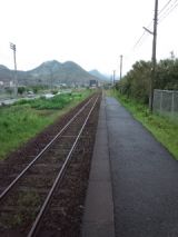 38111-1.jpg