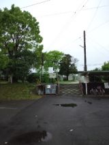 38111-4.jpg