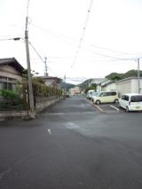 38116-1.jpg