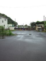 38116.jpg