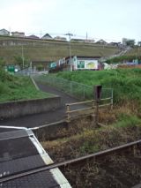 38118-1.jpg