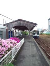 38127.jpg