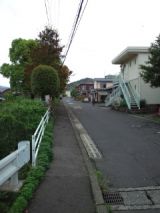 38129-5.jpg