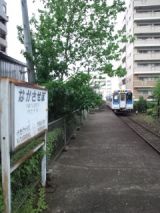 38134.jpg