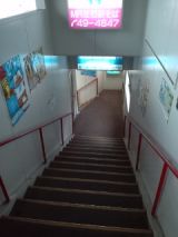 38137-4.jpg