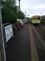 38145.jpg