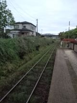 38146-5.jpg