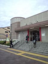 38159-2.jpg