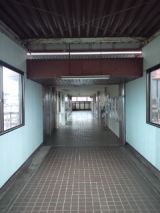38177-5.jpg