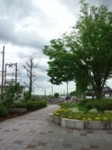 38191-7.jpg