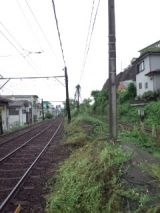 38216-1.jpg